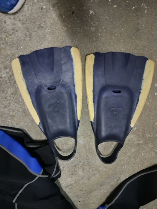 Prancha  de bodyboard e fato e barbatanas