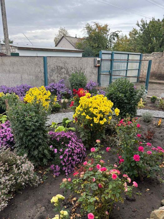 Продам дом Печенеги