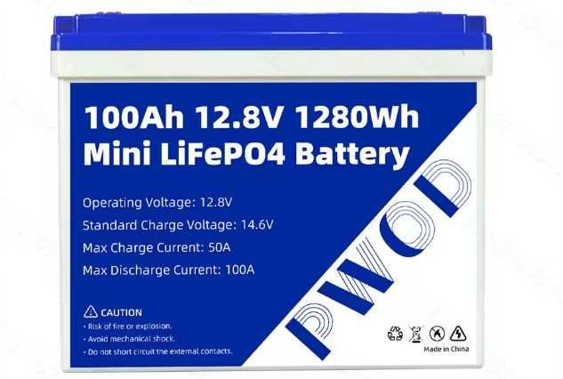Акумулятор PWOD lifepo4 12v 100ah вбудований BMS LiFePo4 АКБ