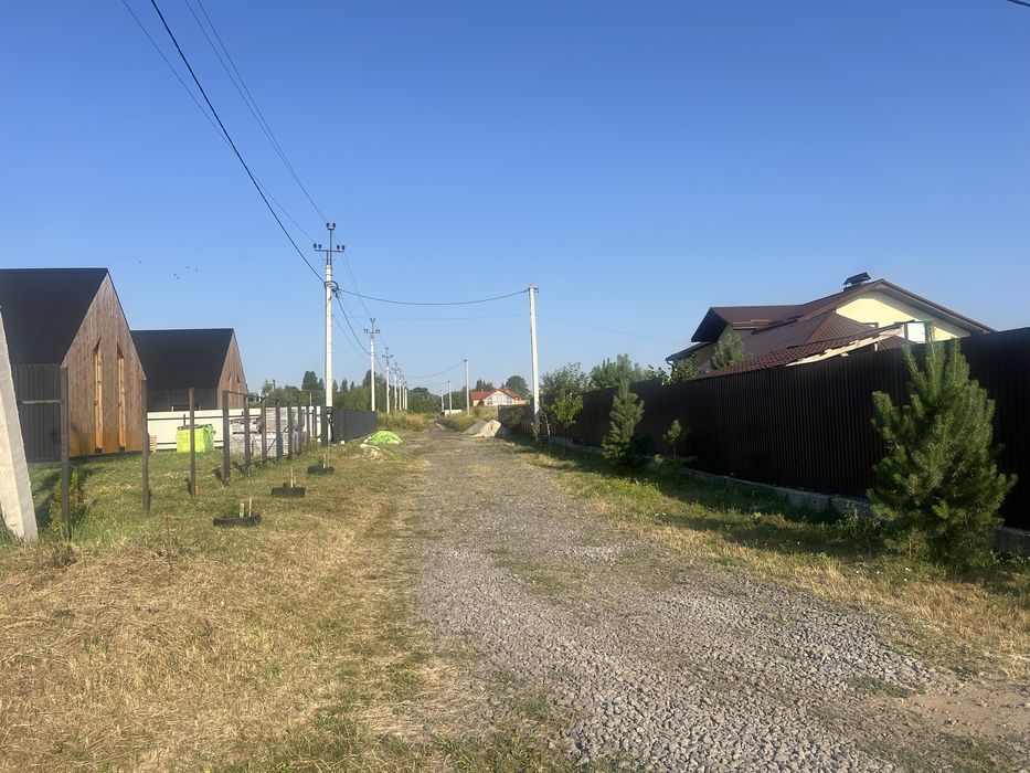 Ділянка 20 соток в березовому гаю