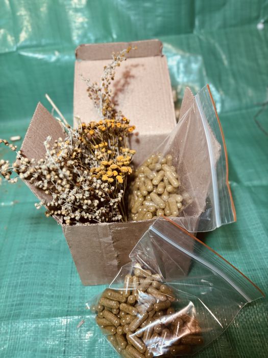 Капсули від глистів, від вірусів, антипаразитарка, трійчатка