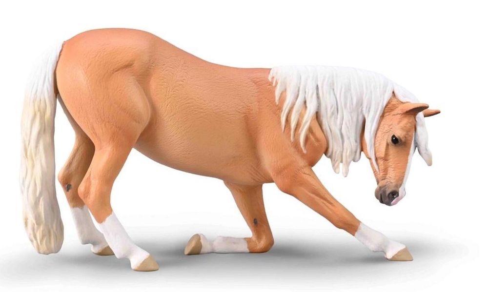 Klacz lusitiano kłaniająca się maści izabelowatej ,93x48 mm