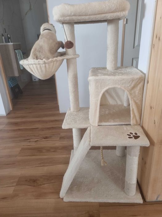 Árvore para gato