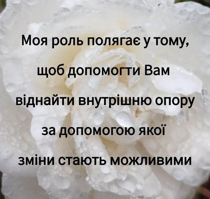 Спеціаліст, Консультант