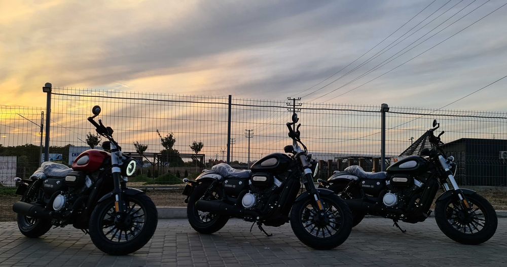 BENDA Chinchilla BD300 Sporty