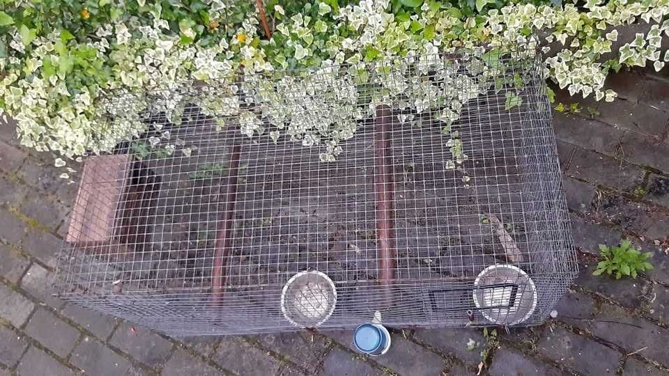 Gaiola para pássaros