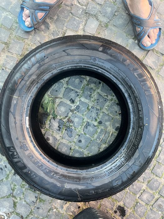 205 65 15 літо Pirelli Barum
