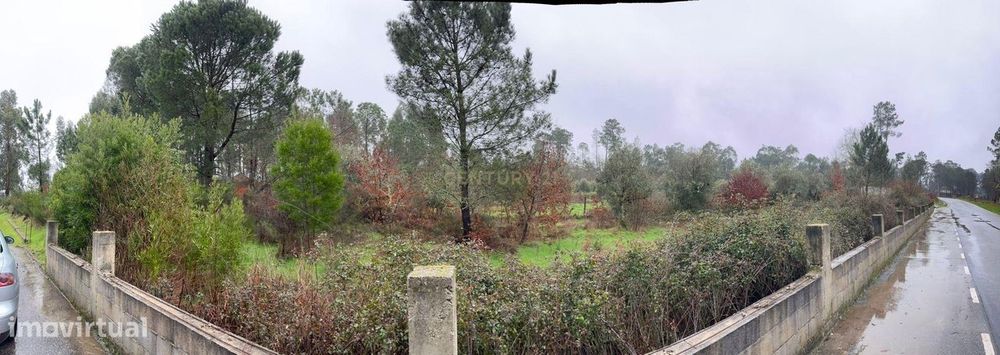 Terreno rústico para venda próximo de Viseu