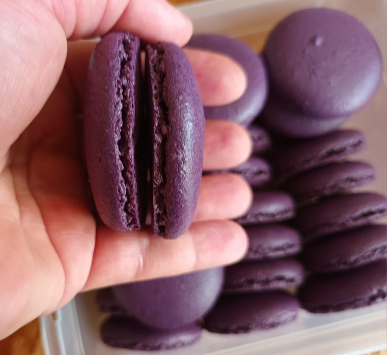 Makaroniki korpusy