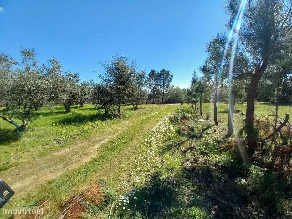 Quinta com 24750m2 Louriçal do campo