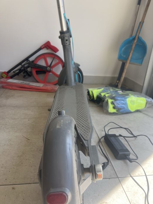 Motus scuti 10 2024