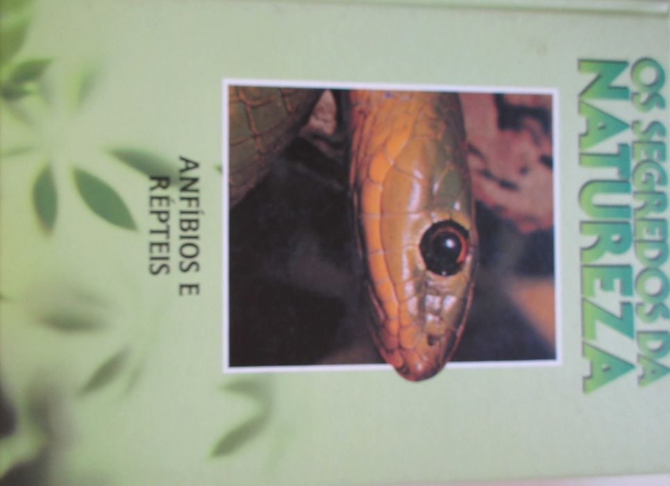 Os Segredos da Natureza - - - Enciclopédia - - - - - 8 X Livros