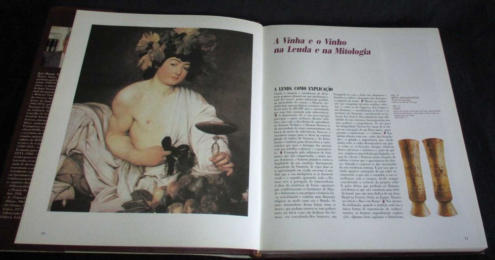 O Grande Livro do Vinho J. Duarte Amaral Temas e Debates