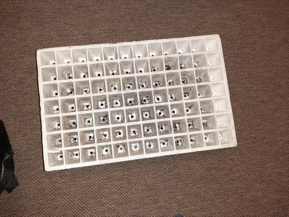 Tabuleiro sementeira 84 plantas