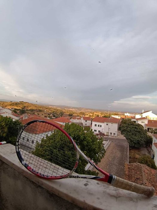 Raquete De ténis Wilson (com certificado)