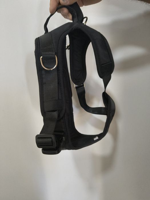 Arnês Peitoral para Cães Acolchoado Ajustável – Preto