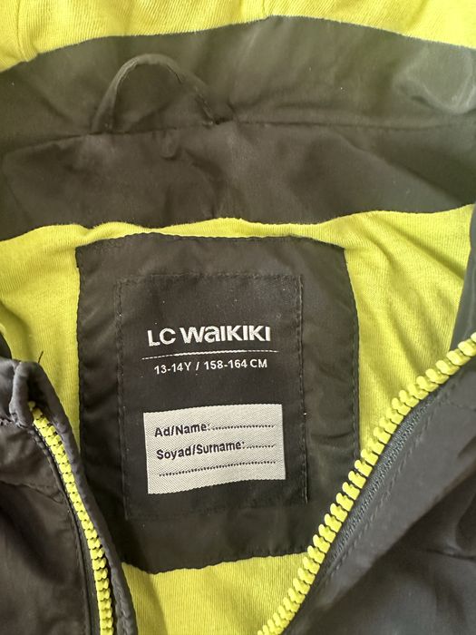 Вітровка підліткова