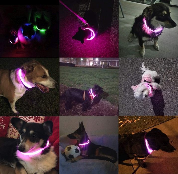 Obroża Dla Psa Z Podświetleniem Led, Ładowana Przez Usb Regulowana