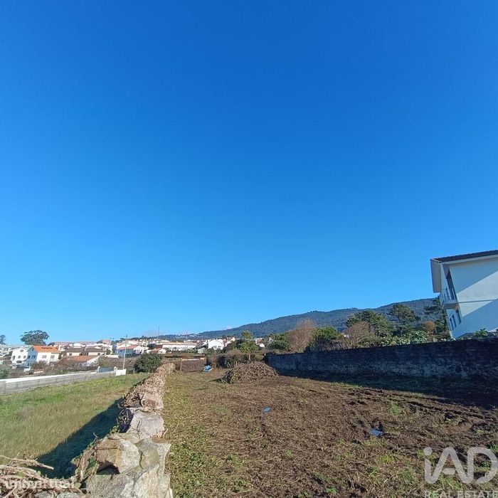 Terreno em Moledo e Cristelo