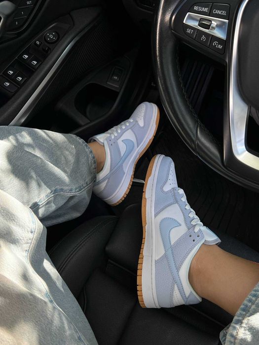 Жіночі кросівки Nike Sb Dunk Low Premium Blue | найк данк