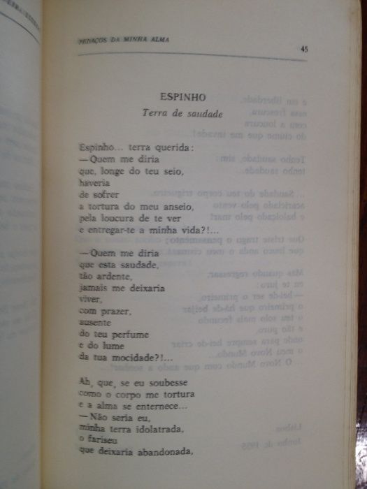 Oliveira Estêvão - Pedaços da minha terra