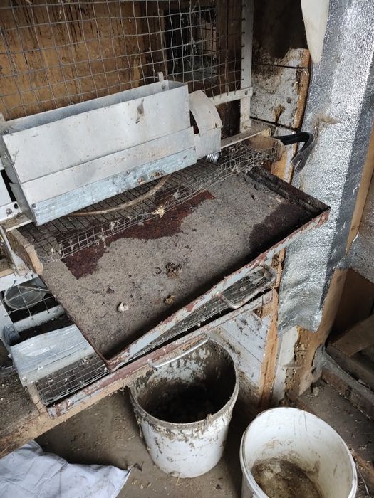 Клітки для перепілок , чи молодняка птиці.