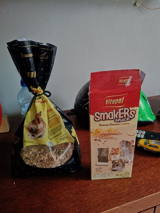 Chomiki dżungalskie