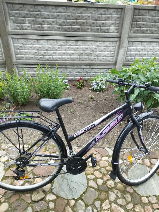 Rower Mercury Olpran 28