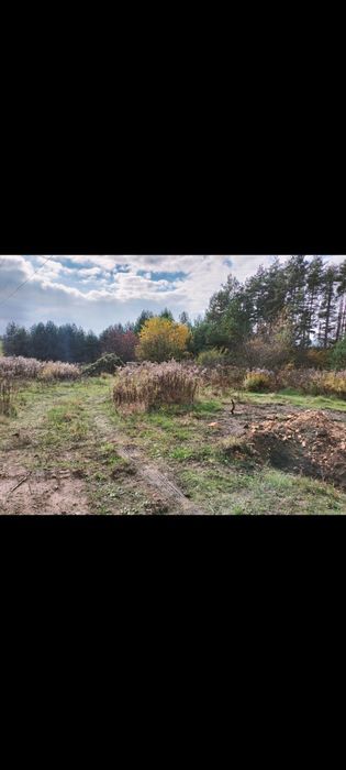 Działka budowlana 10 ar WZ - Widok 3