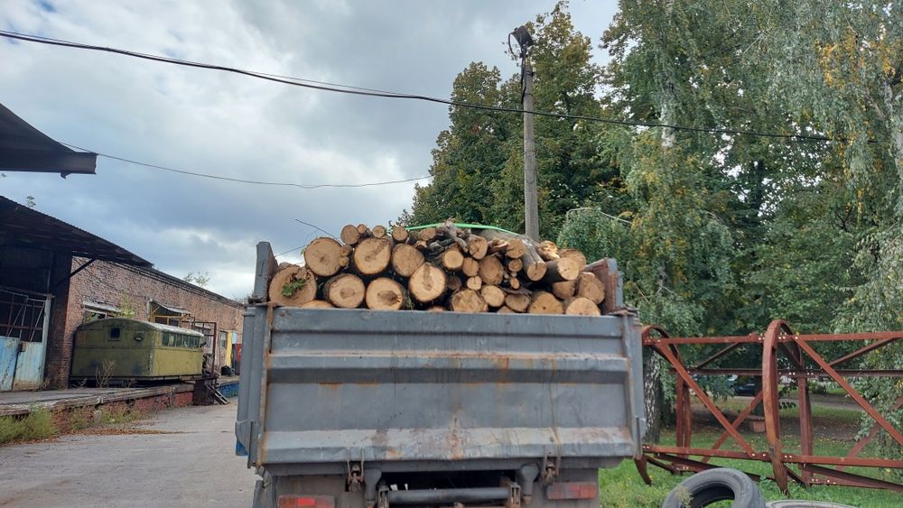 ДРОВА твёрдых пород