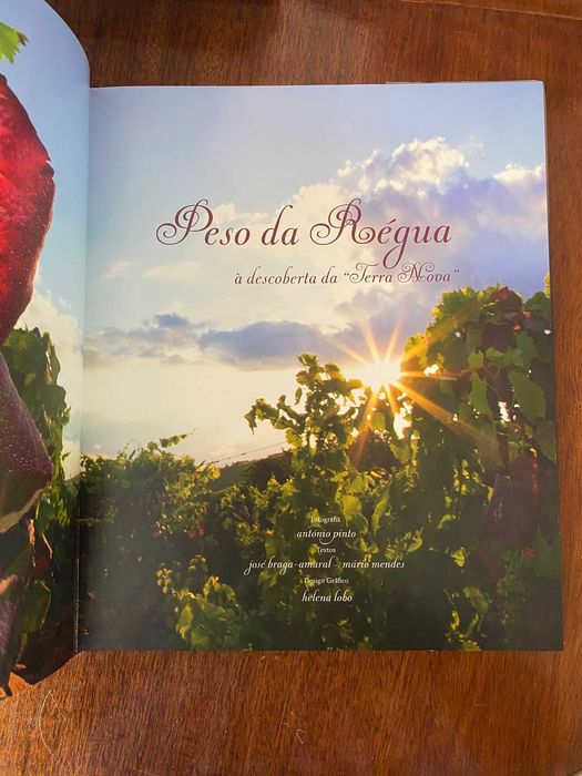 Peso da Régua, À Descoberta da "Terra Nova" - José Braga-Amaral, Mário Mendes