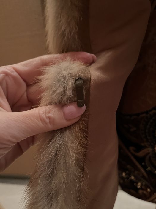 Bezrękawnik rude lisy