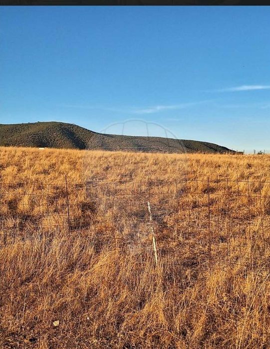 Vendo Terreno Rústico no Alentejo ( Serpa - Beja)
