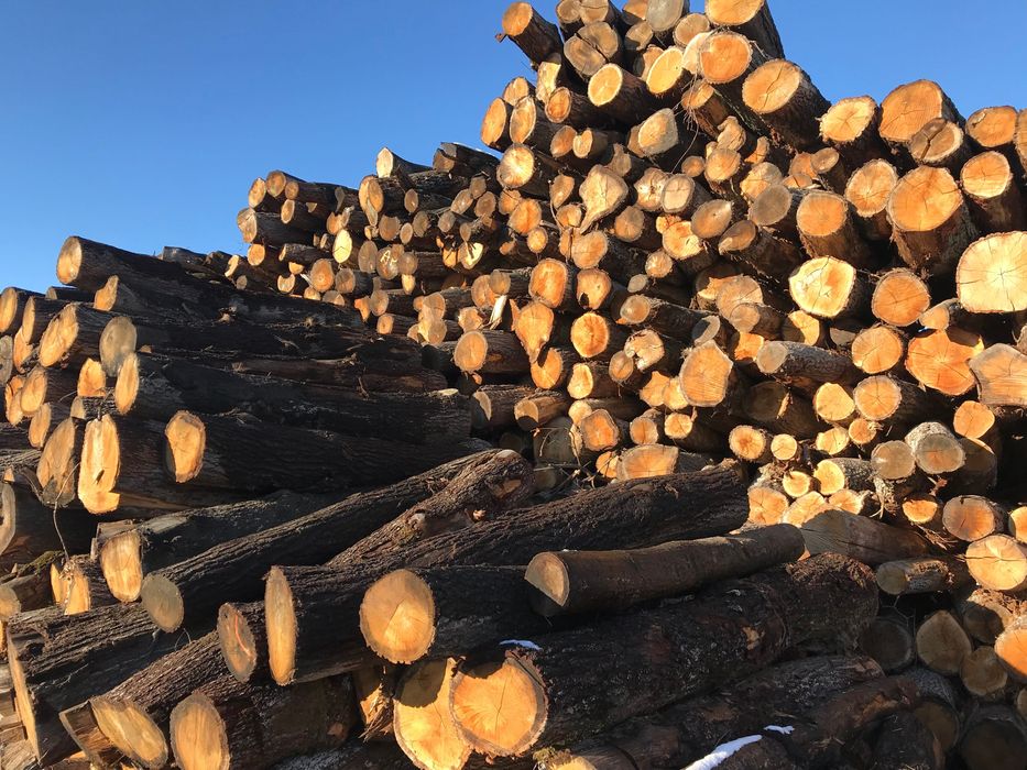 Drewno opałowe DĄB 300zł