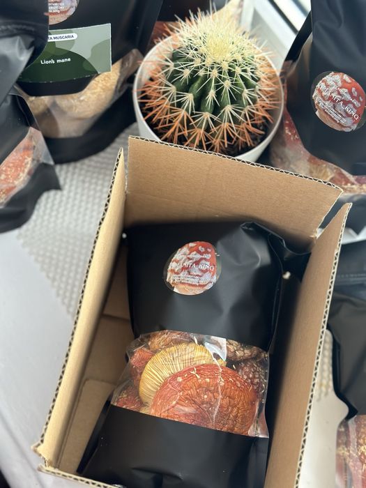 Пакети з наповнювачем