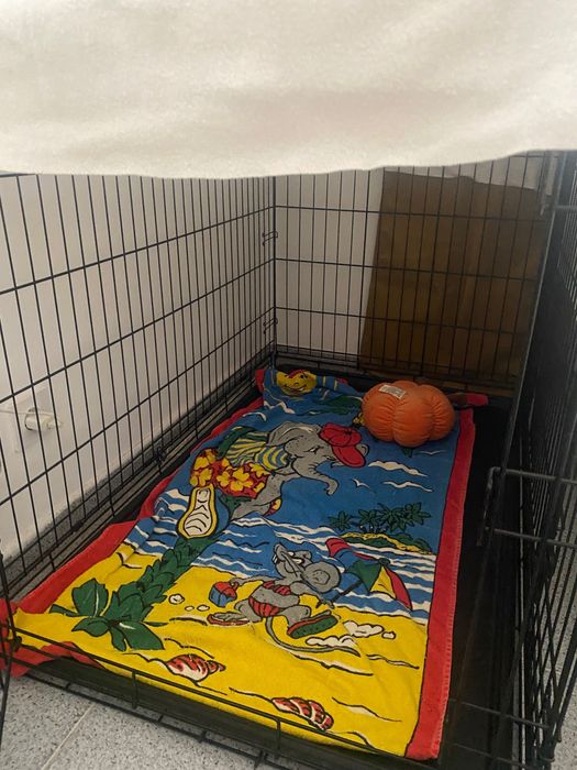 Crate XXL c/ separação