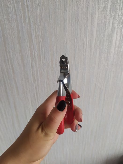 Зоотовары для кошачих