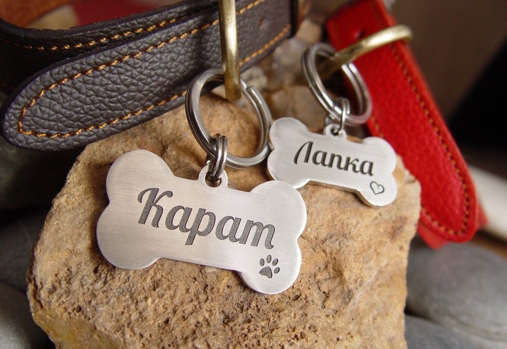 адресник для собаки