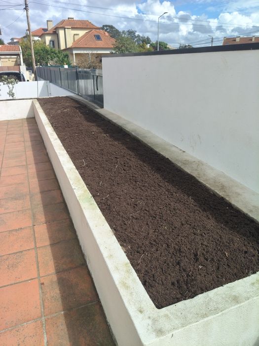 Jardineiro Profissional