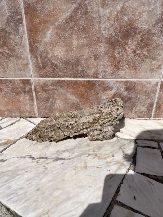 Cortiça para Terrário/Aquário - Mais informações dm