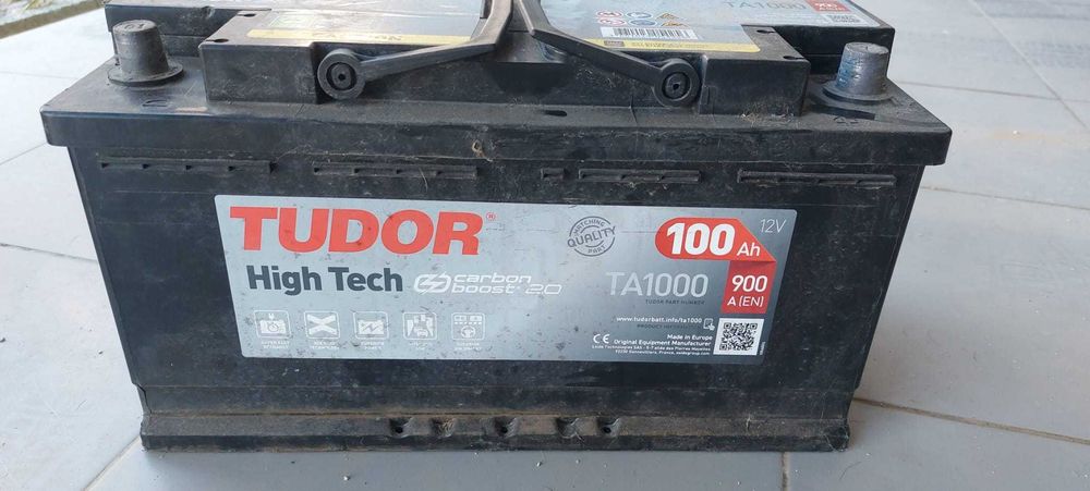 Bacteria tudor 1000 amp