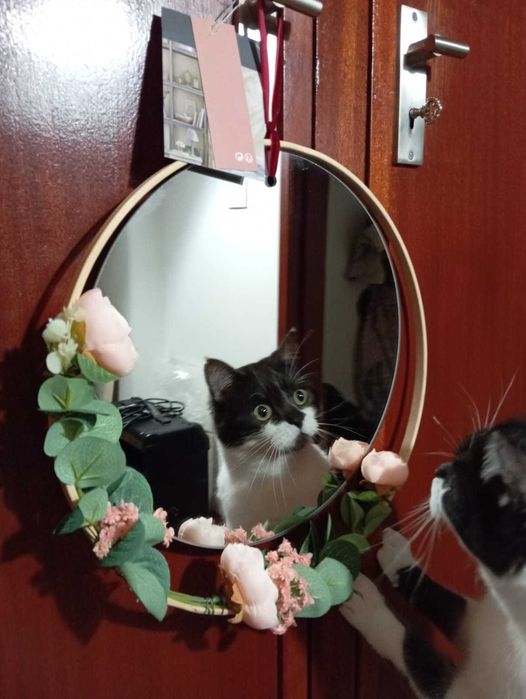 Espelho Atmosphera, aro em madeira clara, rosas e folhas verdes.