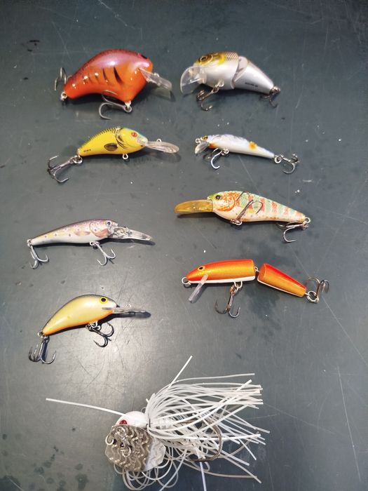 Lotes de amostras para achigã