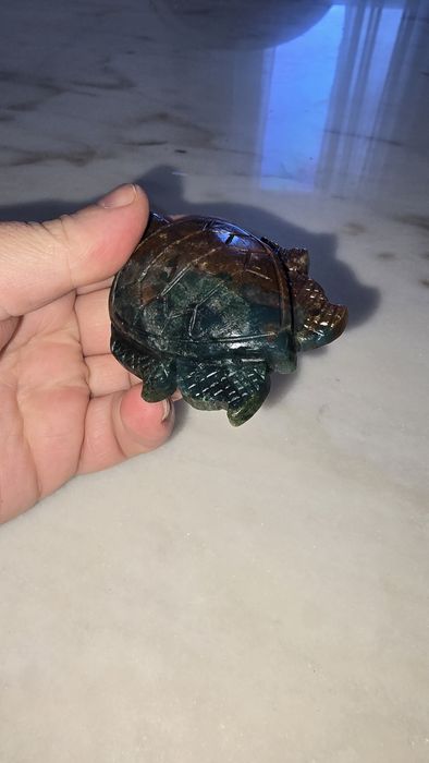 Ocean Jasper tartaruga
