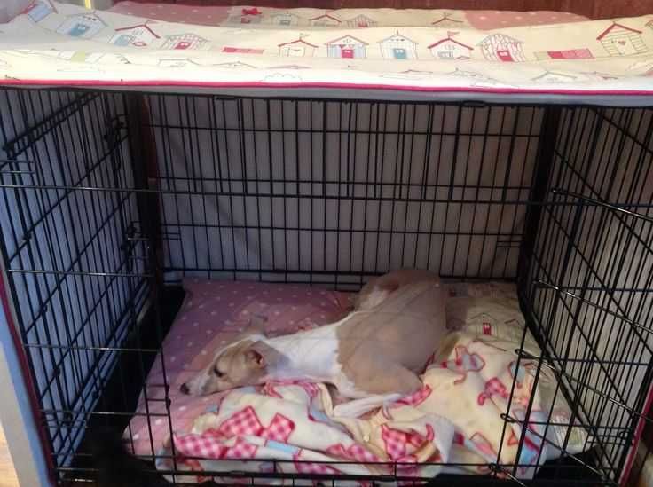 Будка клетка вольер дом место манеж клітка для собак кошек птиц‼️