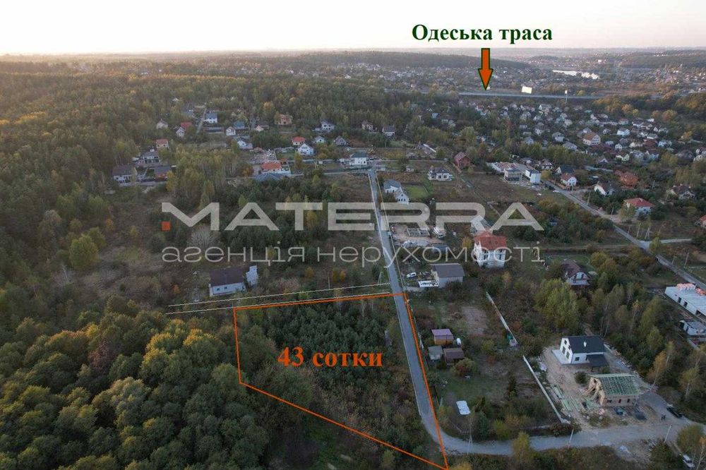 Круглик Продаж ділянки з соснами 43 сотки в оточенні лісу