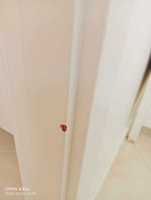 Porta interior branca como nova!