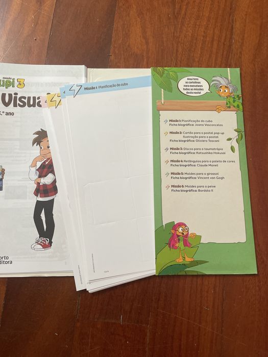 Caderno de Artes visuais 3 ano- missão zupi 3