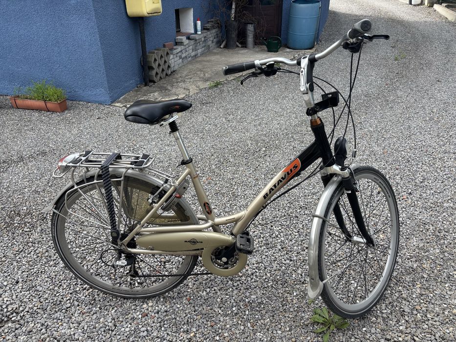 Rower Batavus Cayuca