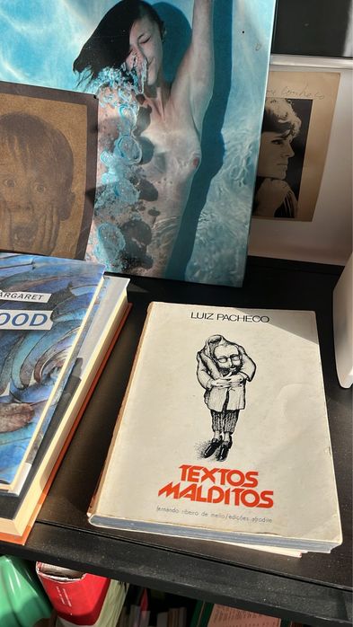 Textos Malditos de Luiz Pacheco